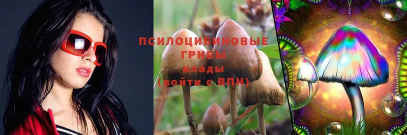 Псилоцибиновые грибы MAGIC MUSHROOMS  дарнет шоп  Руза 